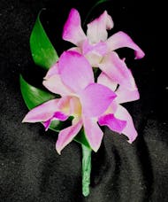 Purple Dendrobium Orchid Boutonniere