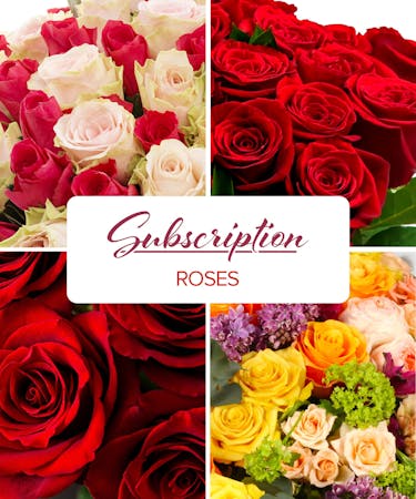Roses - Subscription
