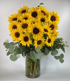 Spectacular Sunflowers