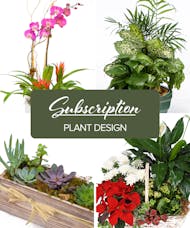 Plants - Subscription