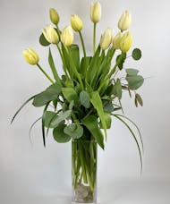 Exquisite French Tulips